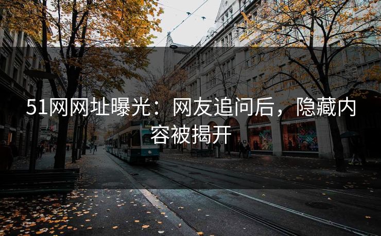 51网网址曝光：网友追问后，隐藏内容被揭开