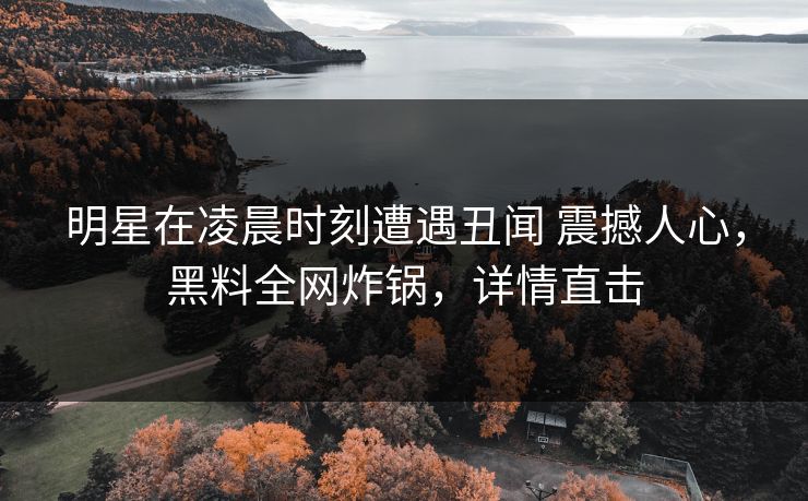 明星在凌晨时刻遭遇丑闻 震撼人心，黑料全网炸锅，详情直击