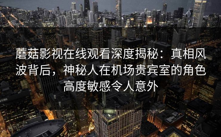 蘑菇影视在线观看深度揭秘：真相风波背后，神秘人在机场贵宾室的角色高度敏感令人意外
